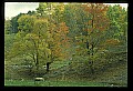 02121-00163-West Virginia Fall Color.jpg