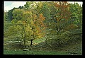 02121-00164-West Virginia Fall Color.jpg