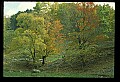 02121-00165-West Virginia Fall Color.jpg