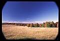 02121-00176-West Virginia Fall Color.jpg