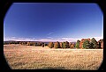02121-00177-West Virginia Fall Color.jpg