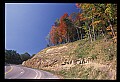 02121-00190-West Virginia Fall Color.jpg