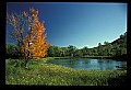 02121-00191-West Virginia Fall Color.jpg