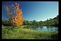 02121-00192-West Virginia Fall Color.jpg