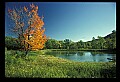 02121-00193-West Virginia Fall Color.jpg