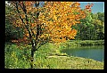 02121-00194-West Virginia Fall Color.jpg
