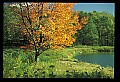 02121-00195-West Virginia Fall Color.jpg