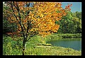 02121-00197-West Virginia Fall Color.jpg