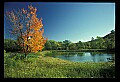 02121-00198-West Virginia Fall Color.jpg