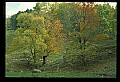 02121-00210-West Virginia Fall Color.jpg