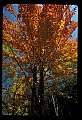 02121-00220-West Virginia Fall Color.jpg