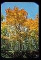 02121-00222-West Virginia Fall Color.jpg