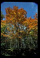 02121-00223-West Virginia Fall Color.jpg