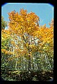 02121-00224-West Virginia Fall Color.jpg