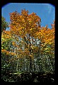 02121-00225-West Virginia Fall Color.jpg