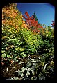 02121-00227-West Virginia Fall Color.jpg
