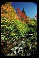 02121-00228-West Virginia Fall Color.jpg