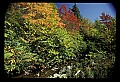 02121-00229-West Virginia Fall Color.jpg