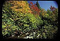 02121-00230-West Virginia Fall Color.jpg