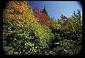 02121-00231-West Virginia Fall Color.jpg