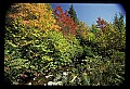 02121-00232-West Virginia Fall Color.jpg