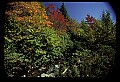 02121-00233-West Virginia Fall Color.jpg