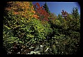02121-00235-West Virginia Fall Color.jpg
