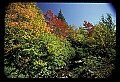 02121-00238-West Virginia Fall Color.jpg