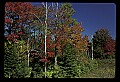 02121-00239-West Virginia Fall Color.jpg