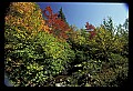 02121-00240-West Virginia Fall Color.jpg