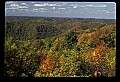 02121-00243-West Virginia Fall Color.jpg