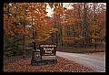 02121-00248-West Virginia Fall Color.jpg
