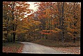 02121-00251-West Virginia Fall Color.jpg