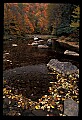 02121-00253-West Virginia Fall Color.jpg