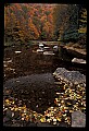 02121-00258-West Virginia Fall Color.jpg