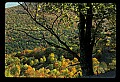 02121-00262-West Virginia Fall Color.jpg