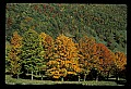 02121-00263-West Virginia Fall Color.jpg