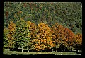 02121-00264-West Virginia Fall Color.jpg