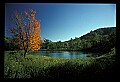 02121-00265-West Virginia Fall Color.jpg