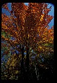 02121-00267-West Virginia Fall Color.jpg