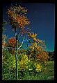 02121-00270-West Virginia Fall Color.jpg