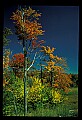 02121-00271-West Virginia Fall Color.jpg