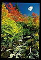 02121-00274-West Virginia Fall Color.jpg