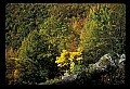 02121-00276-West Virginia Fall Color.jpg