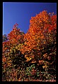 02121-00282-West Virginia Fall Color.jpg
