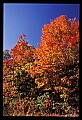 02121-00283-West Virginia Fall Color.jpg