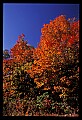 02121-00284-West Virginia Fall Color.jpg