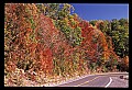 02121-00286-West Virginia Fall Color.jpg