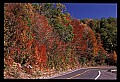 02121-00287-West Virginia Fall Color.jpg