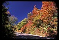 02121-00288-West Virginia Fall Color.jpg